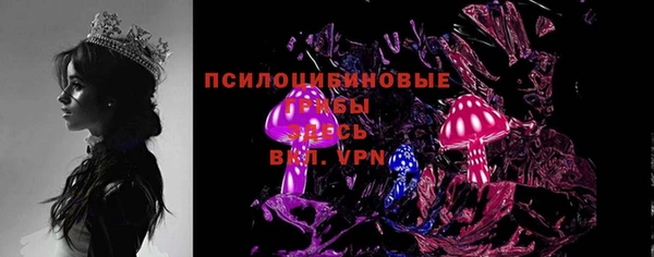 ПСИЛОЦИБИНОВЫЕ ГРИБЫ Навашино