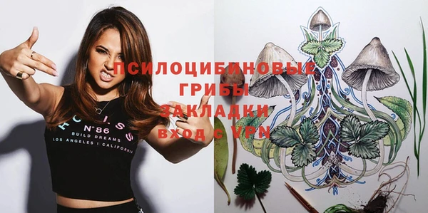 ПСИЛОЦИБИНОВЫЕ ГРИБЫ Навашино