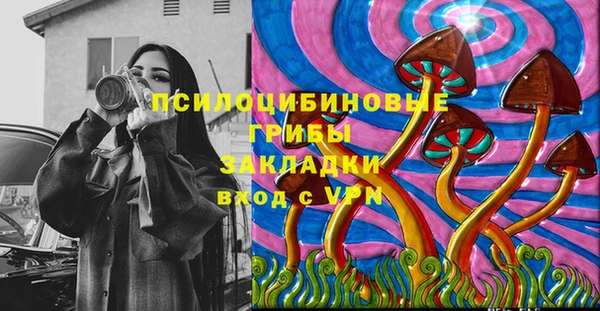 ПСИЛОЦИБИНОВЫЕ ГРИБЫ Навашино