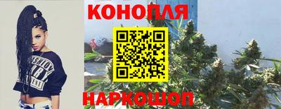 PSILOCYBIN Заволжье