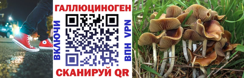 где можно купить наркотик  Лениногорск  Галлюциногенные грибы ЛСД 