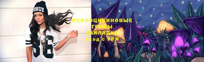 Псилоцибиновые грибы Magic Shrooms  маркетплейс какой сайт  Лениногорск  купить наркотик  omg  