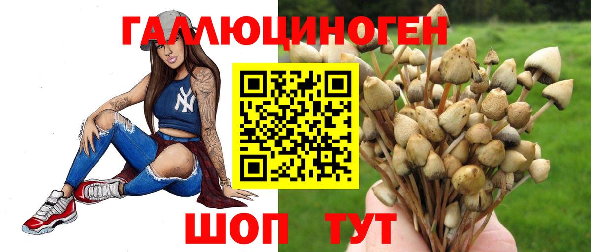 купить закладку  Вход с VPN  Лениногорск  Галлюциногенные грибы MAGIC MUSHROOMS 