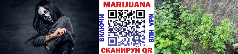 Бошки марихуана White Widow  купить   нарко площадка Telegram  Лениногорск 